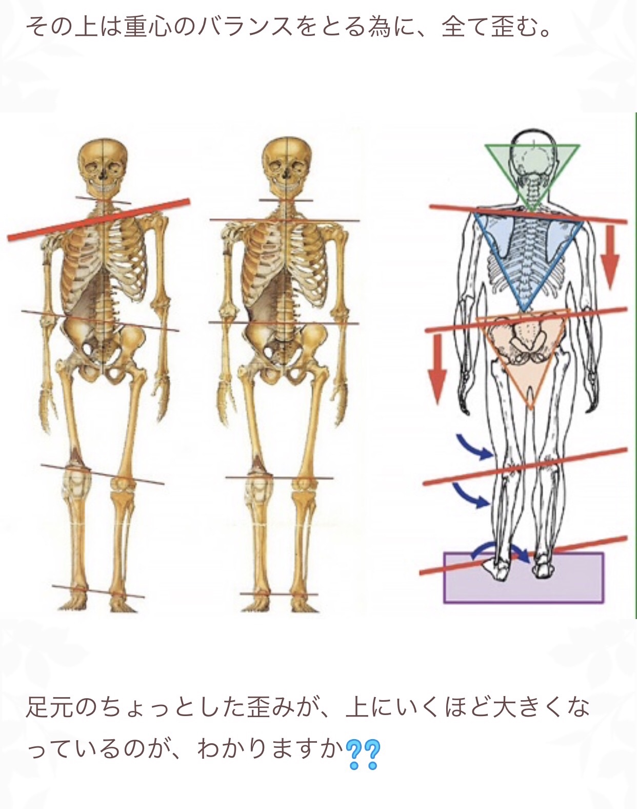 足は身体の土台です❣️